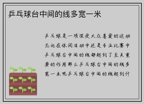 乒乓球台中间的线多宽一米