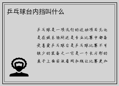 乒乓球台内挡叫什么