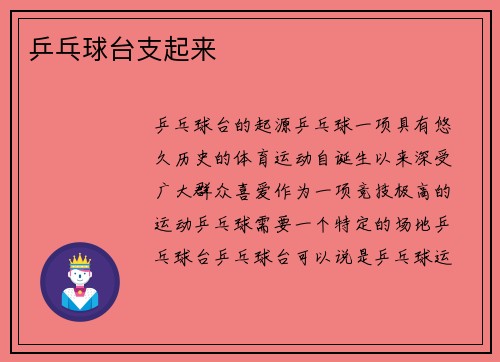 乒乓球台支起来