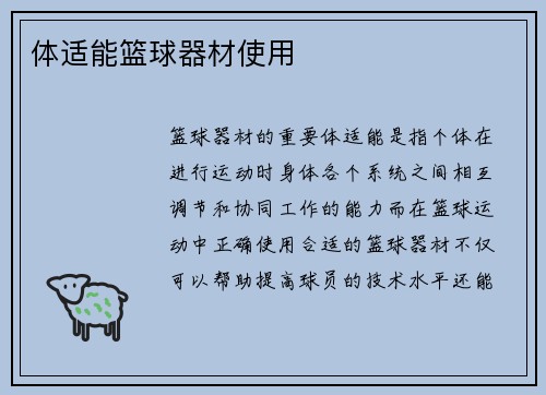 体适能篮球器材使用